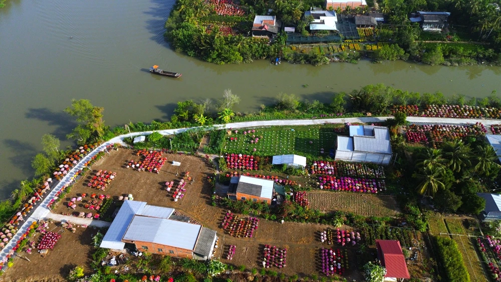 làng hoa giấy 1.JPG