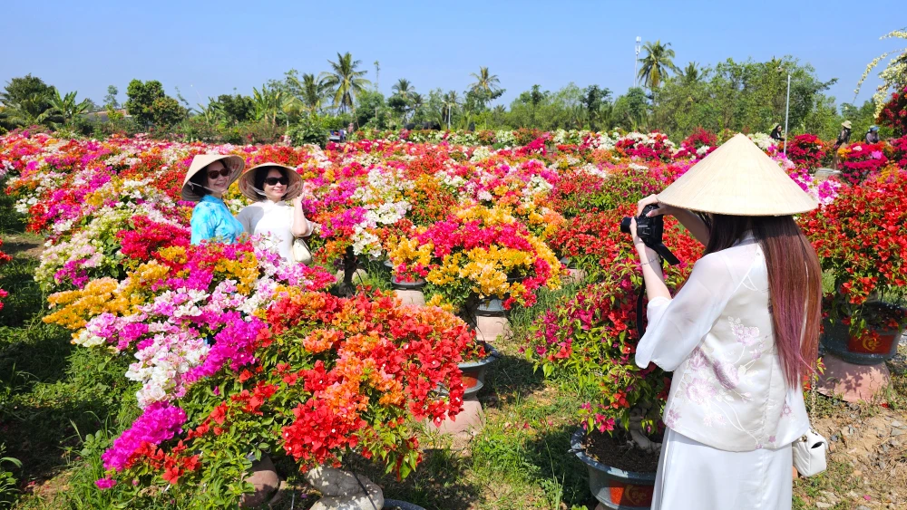 làng hoa giấy 19.jpg