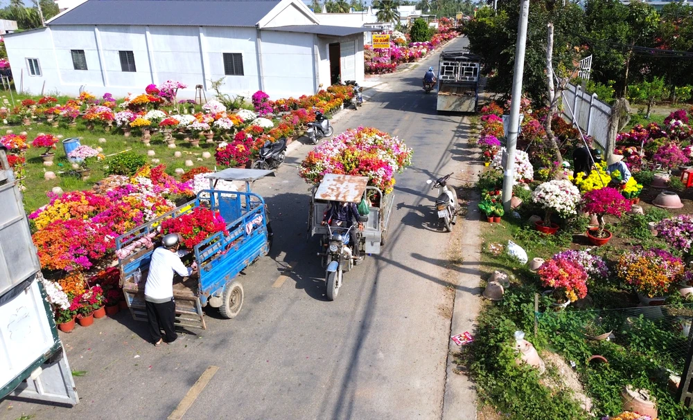 làng hoa giấy 6.JPG