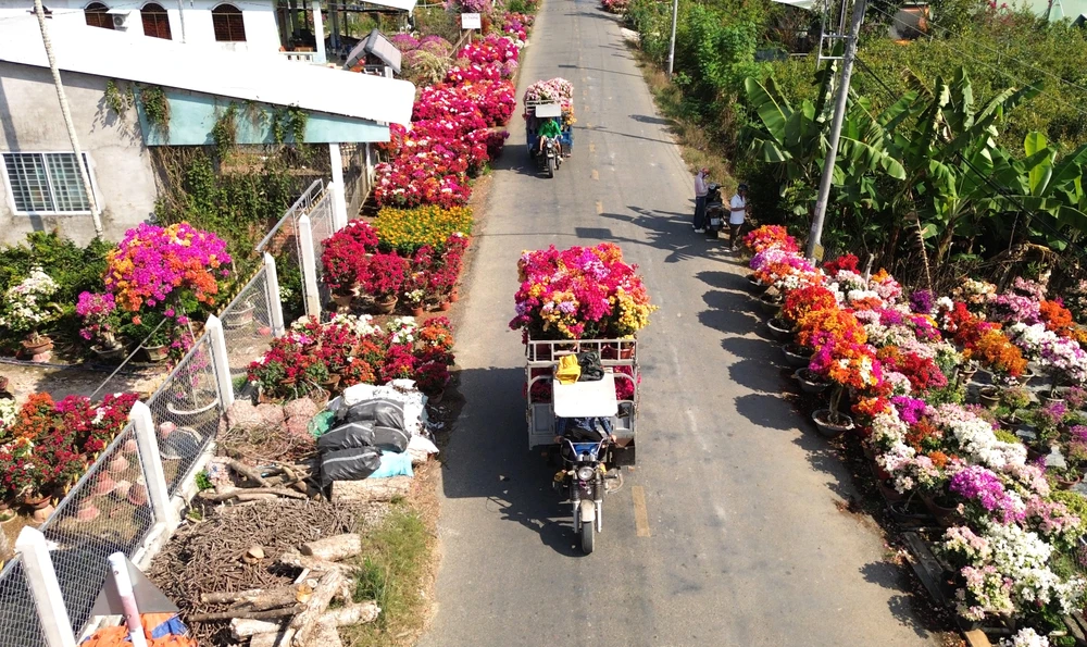 làng hoa giấy 9.JPG