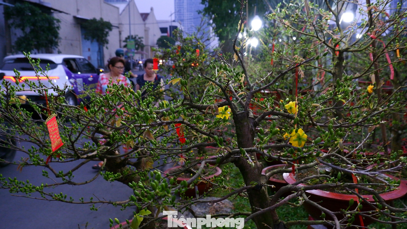 Tấp nập chợ hoa 'trên bến dưới thuyền' duy nhất ở TPHCM- Ảnh 2.