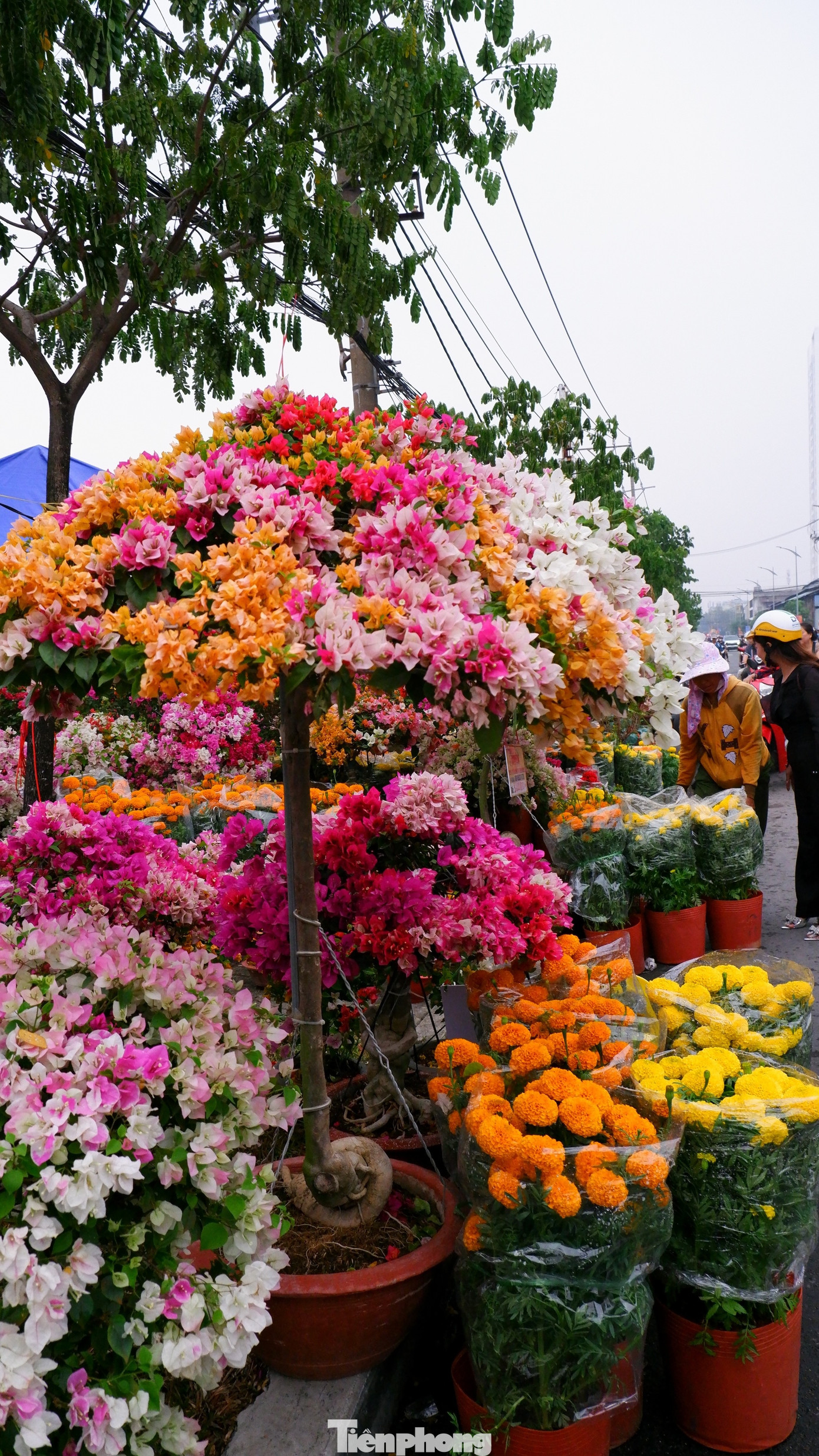 Tấp nập chợ hoa 'trên bến dưới thuyền' duy nhất ở TPHCM- Ảnh 13.