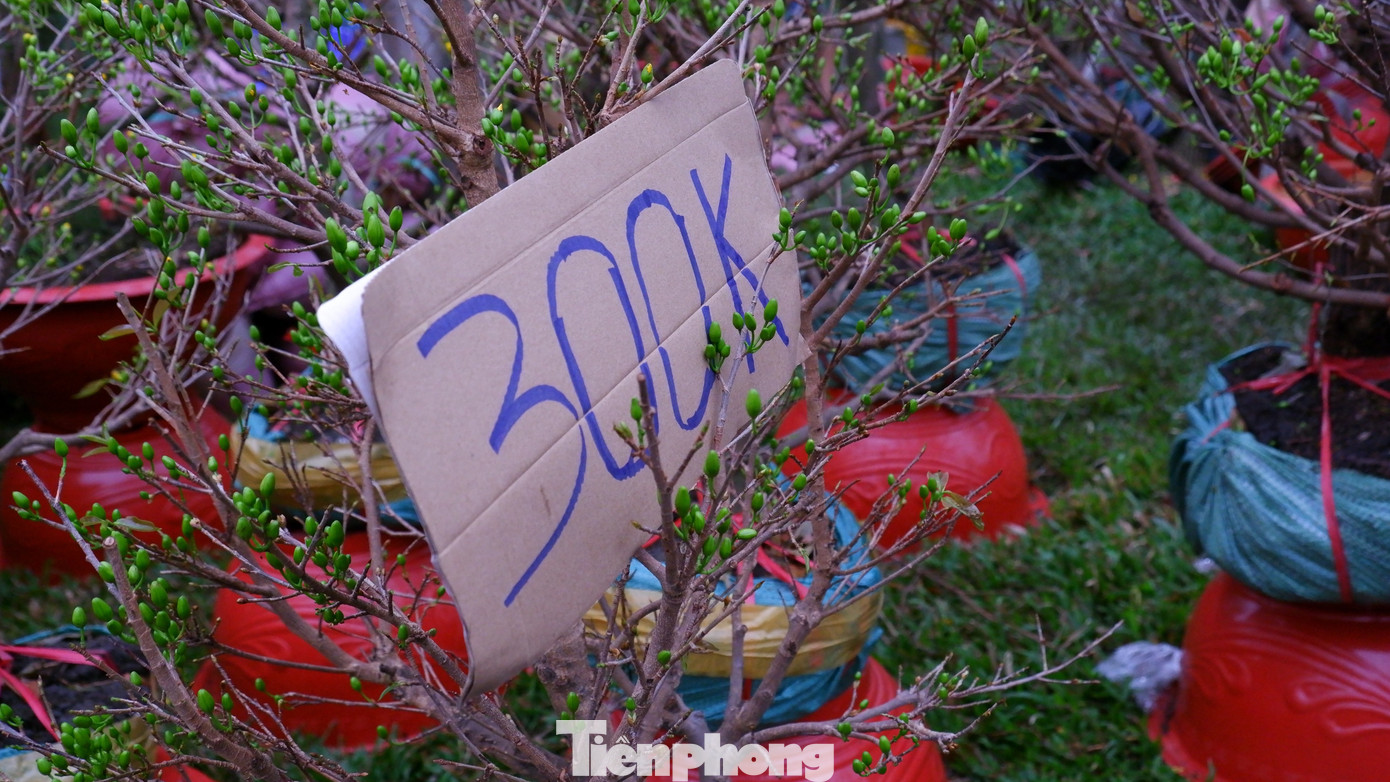 Tấp nập chợ hoa 'trên bến dưới thuyền' duy nhất ở TPHCM- Ảnh 14.