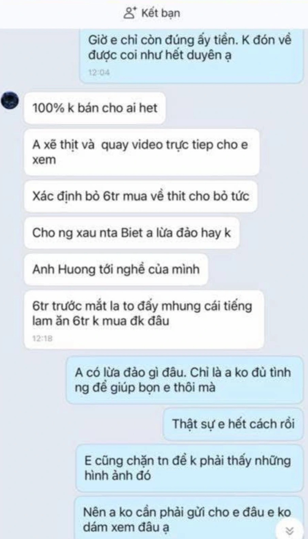 Cô gái ở Hà Nội bị doạ giết mèo cưng, nếu không trả 7,5 triệu tiền chuộc - 2