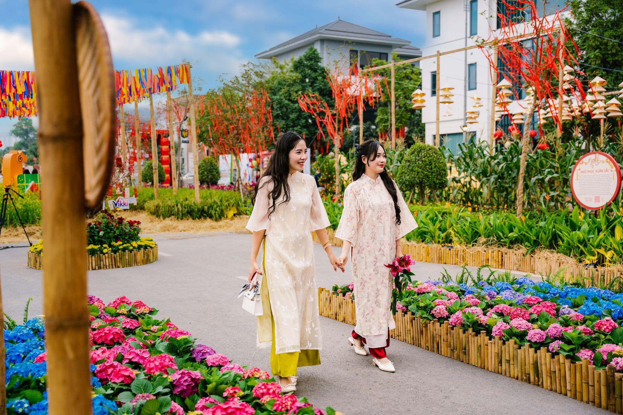 Giải mã Đường hoa Home Hanoi Xuan 2026: Tọa độ du xuân mới đang được giới trẻ Hà Nội rủ nhau check-in- Ảnh 4.