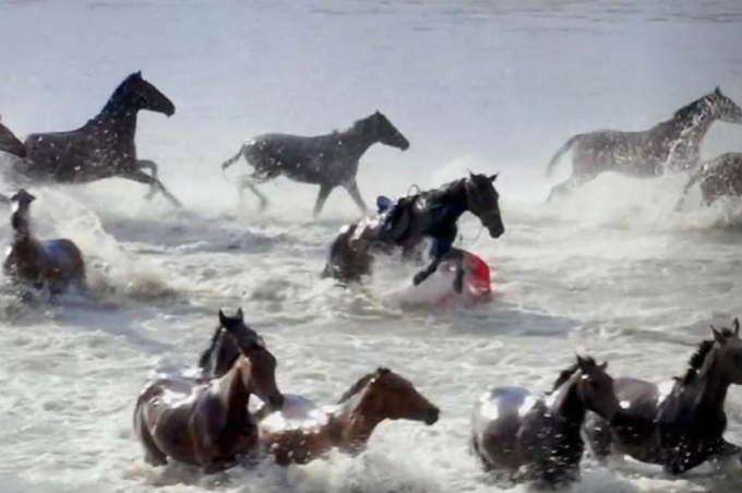 Bà Hạ ngã ngựa năm 2020. Ảnh: Nfnews