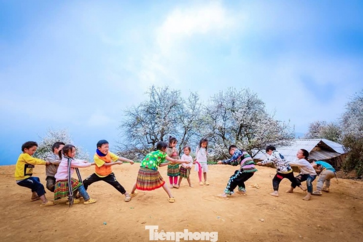 Mỗi mùa hoa sơn tra nở, Nậm Nghẹp như khoác lên mình chiếc áo mới. Núi đồi trùng điệp được bao phủ bởi sắc trắng tinh khôi, làm dịu đi cái khắc nghiệt vốn có của vùng cao. Những ngôi nhà của người Mông nằm nép mình dưới tán sơn tra, như được chở che, bảo vệ. Cây sơn tra không chỉ là cây kinh tế, mà còn là một phần đời sống tinh thần, gắn bó mật thiết với sinh hoạt, phong tục của người dân nơi đây.