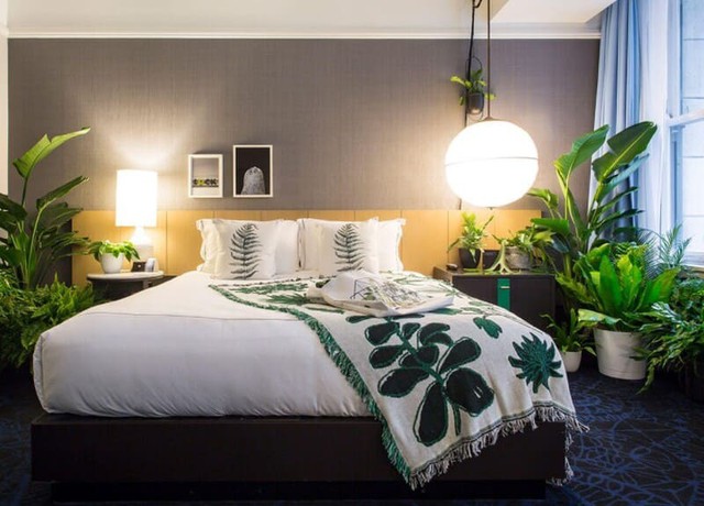 Mỗi loài cây đều có những cách chăm sóc riêng, vậy nên bạn cần có kỹ thuật chăm sóc để chúng có thể phát triển tốt nhất.