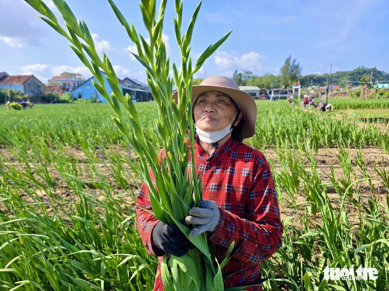 hoa Tết - Ảnh 2.