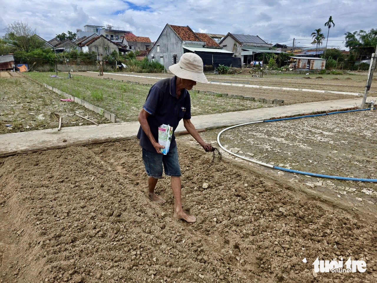 Sau lũ lịch sử, làng hoa Ngọc Lãng Tuy Hòa kịp bung nở đón xuân - Ảnh 4.