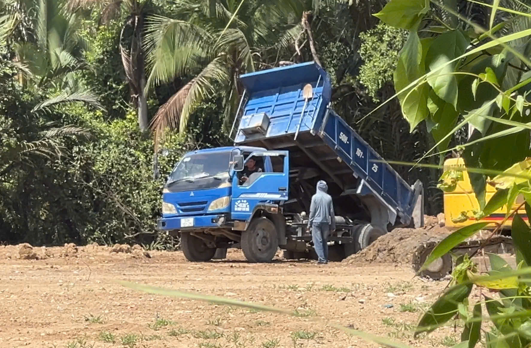 San lấp trái phép 1.800m2 giữa rừng cây ở TP.HCM: Chờ chủ đất về xử lý? - Ảnh 2.