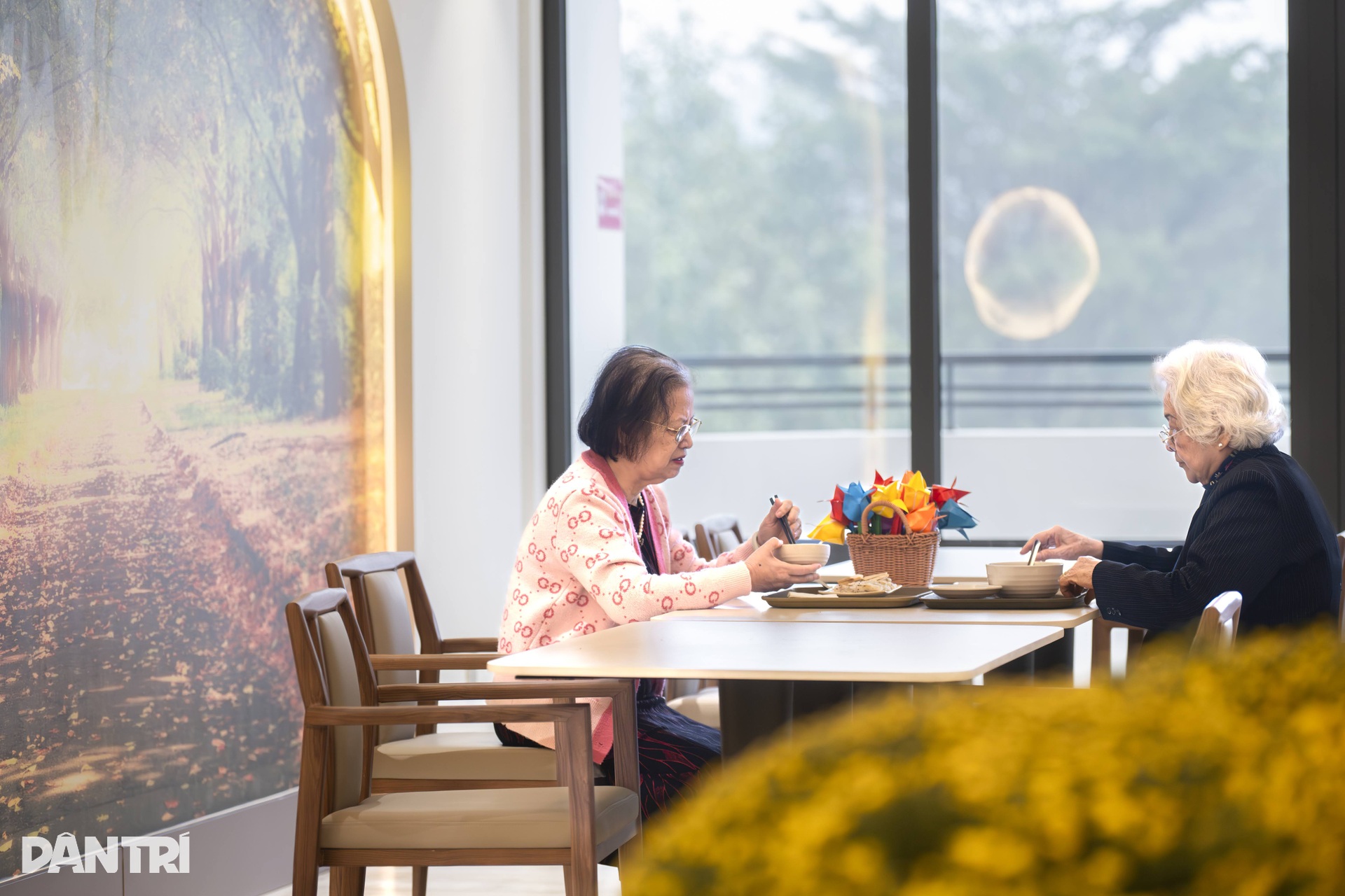 Tôi đi viện dưỡng lão bán trú ở tuổi 79 dù có nhà Hà Nội - 7