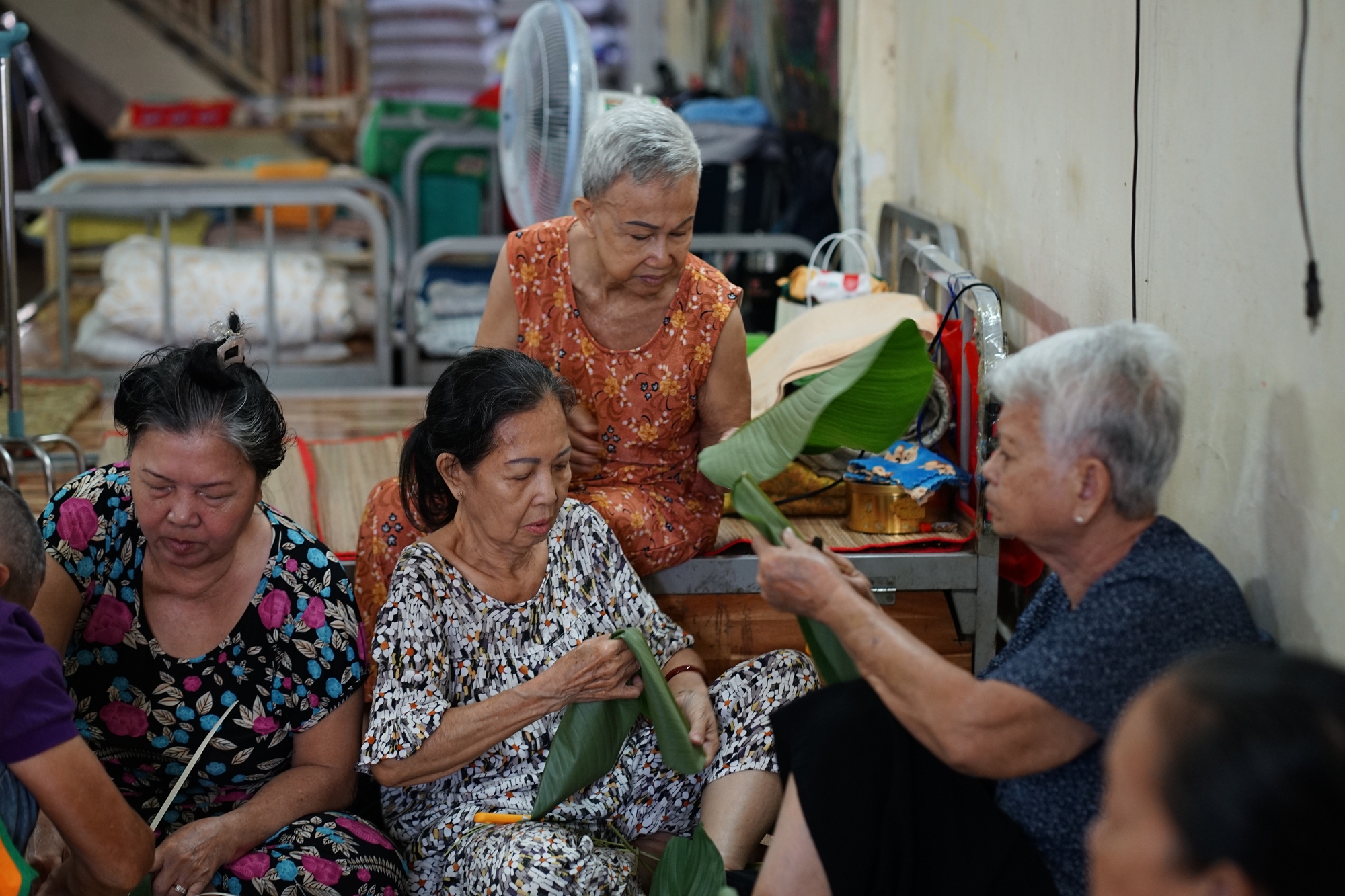 1770951318 359 Cai Tet du nhung cu gia neo don giua long