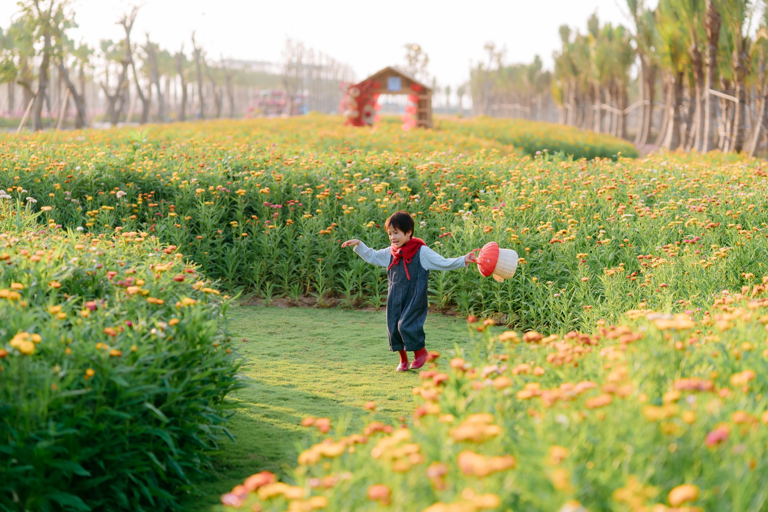 Ecopark tràn ngập sắc hoa các đại đô thị khắp 3 miền dịp Tết Bính Ngọ 2026- Ảnh 5.