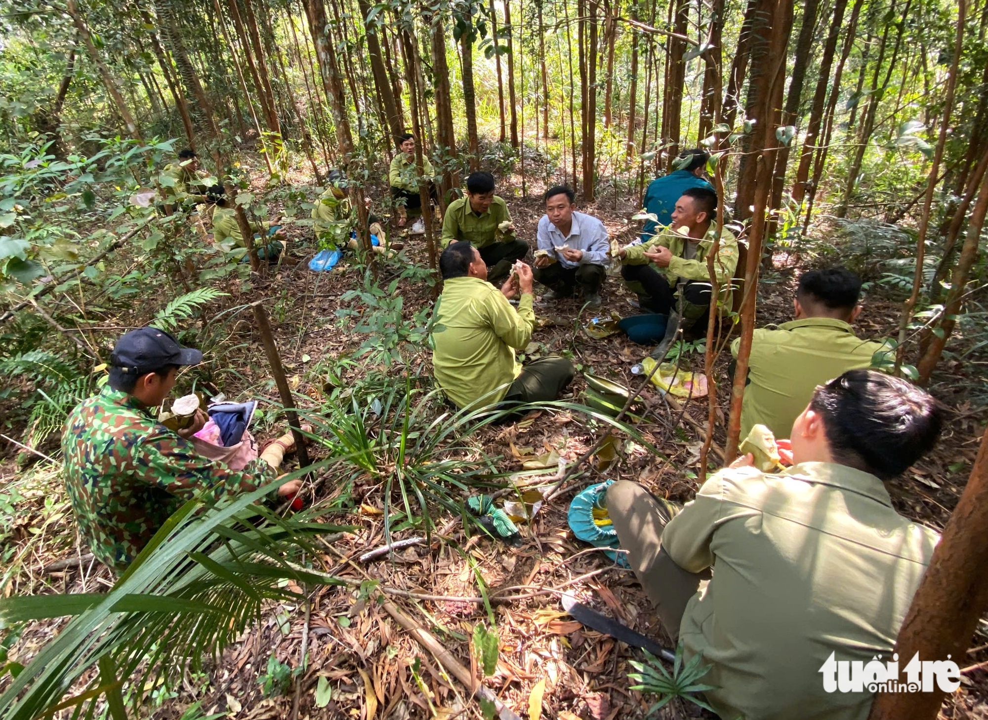 giữ rừng - Ảnh 3.