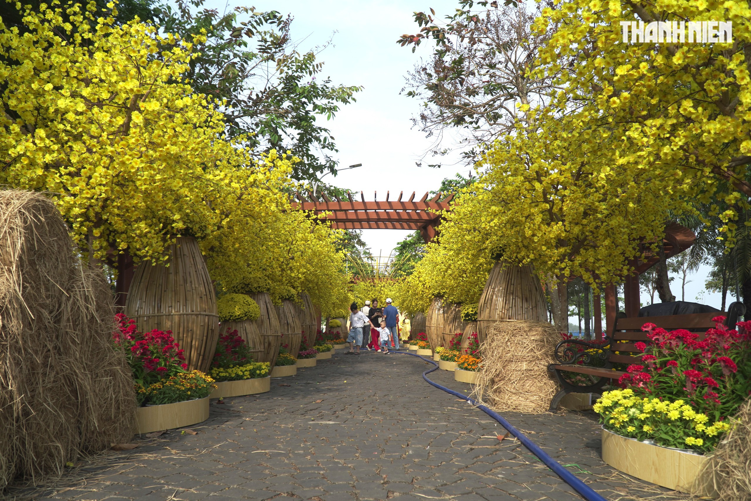 Chiêm ngưỡng đại cảnh 'Mã vương tụ lộc', 'Bát mã hưng thịnh' mừng Xuân Bính Ngọ 2026- Ảnh 5.