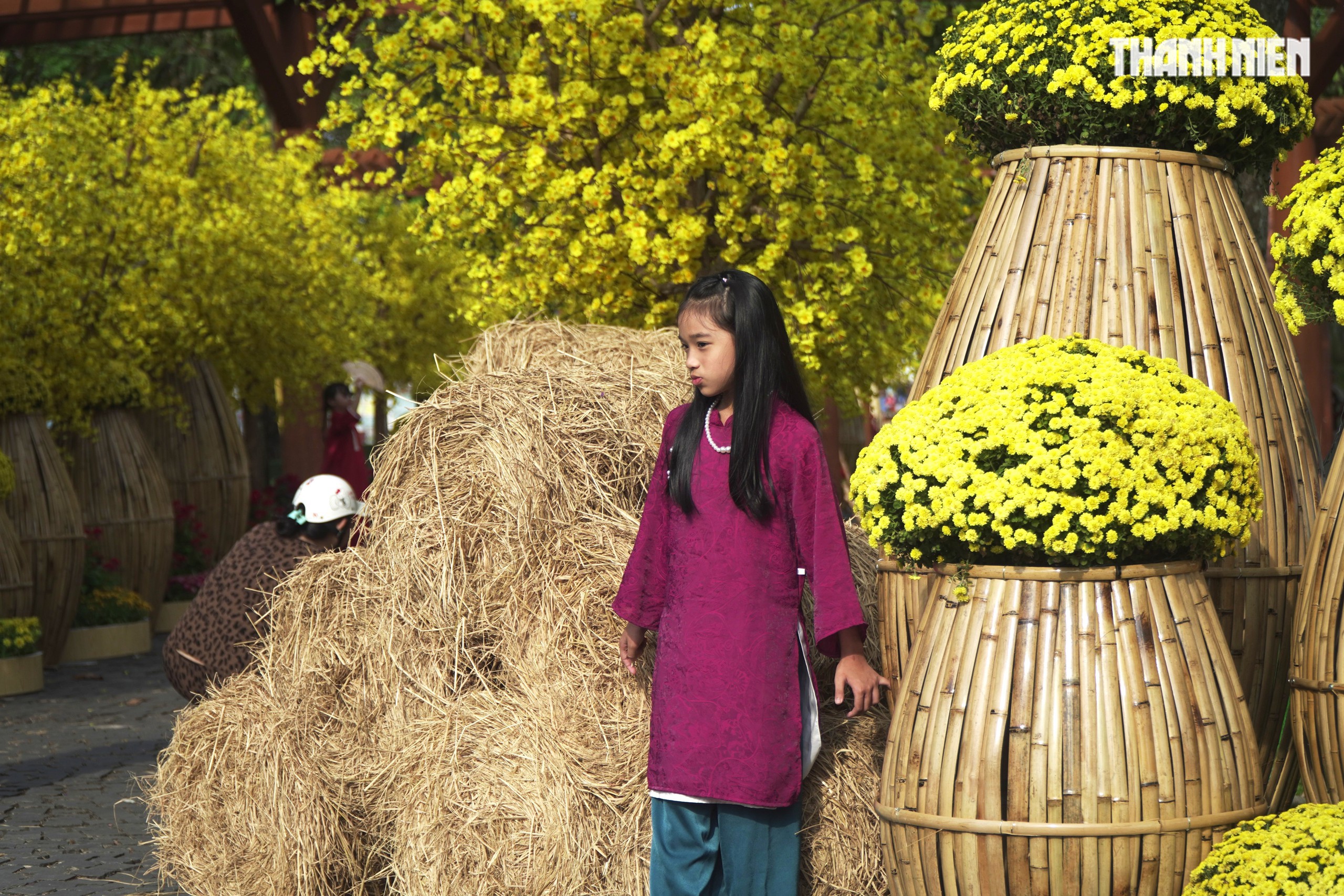 Chiêm ngưỡng đại cảnh 'Mã vương tụ lộc', 'Bát mã hưng thịnh' mừng Xuân Bính Ngọ 2026- Ảnh 8.