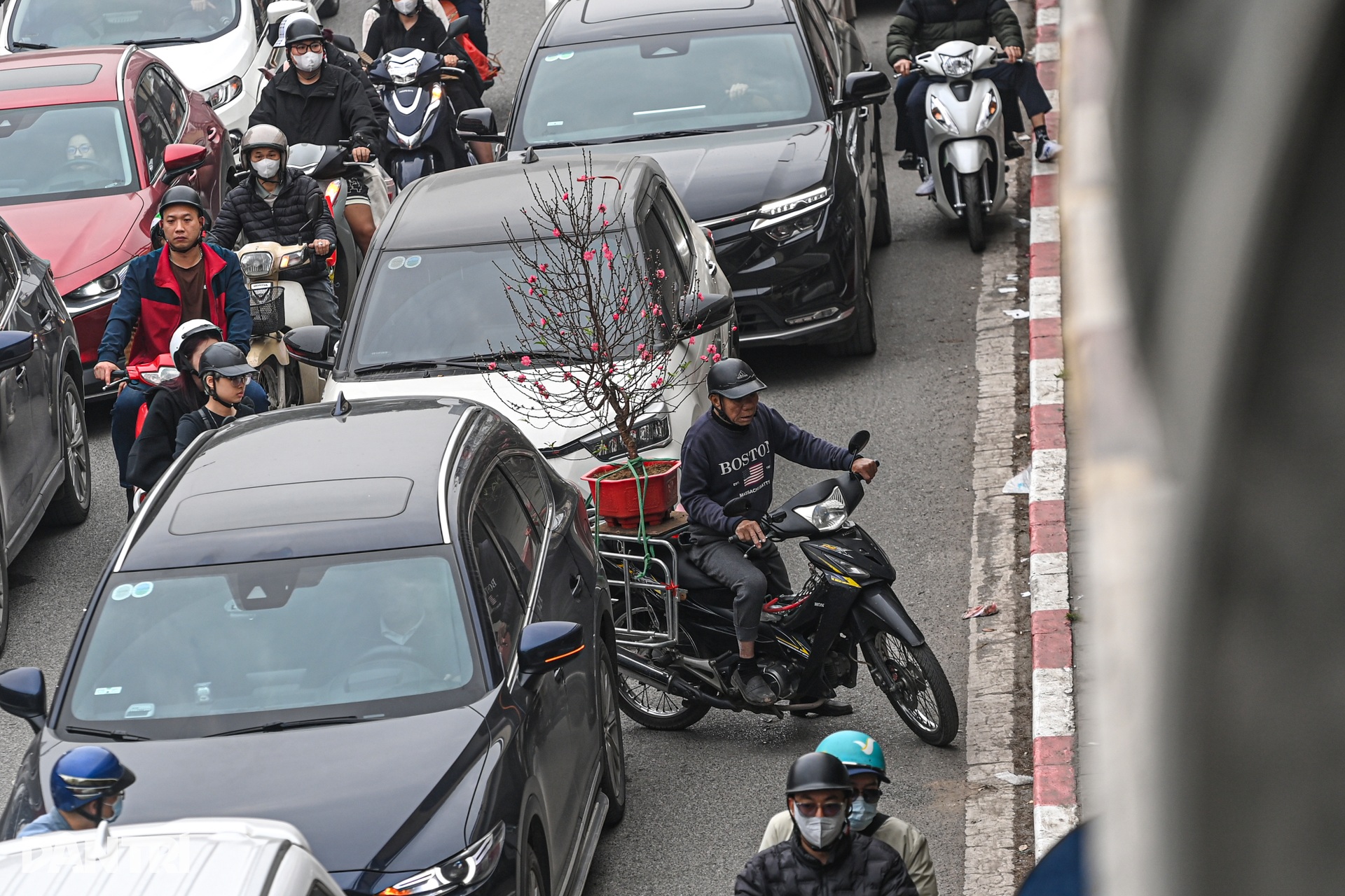 Đào, quất tìm lối thoát trên đường kẹt những ngày cận Tết ở Hà Nội - 3 Đào, quất tìm lối thoát trên đường kẹt những ngày cận Tết ở Hà Nội - 3