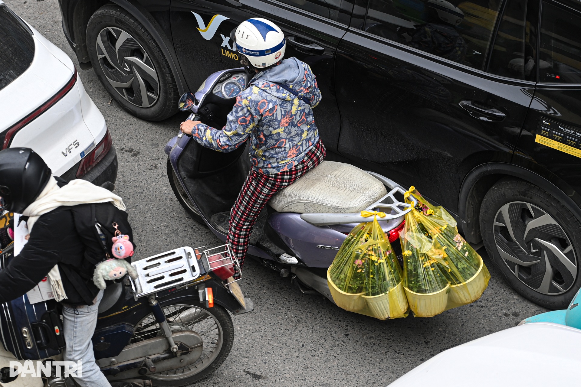 Đào, quất tìm lối thoát trên đường kẹt những ngày cận Tết ở Hà Nội - 6 Đào, quất tìm lối thoát trên đường kẹt những ngày cận Tết ở Hà Nội - 6