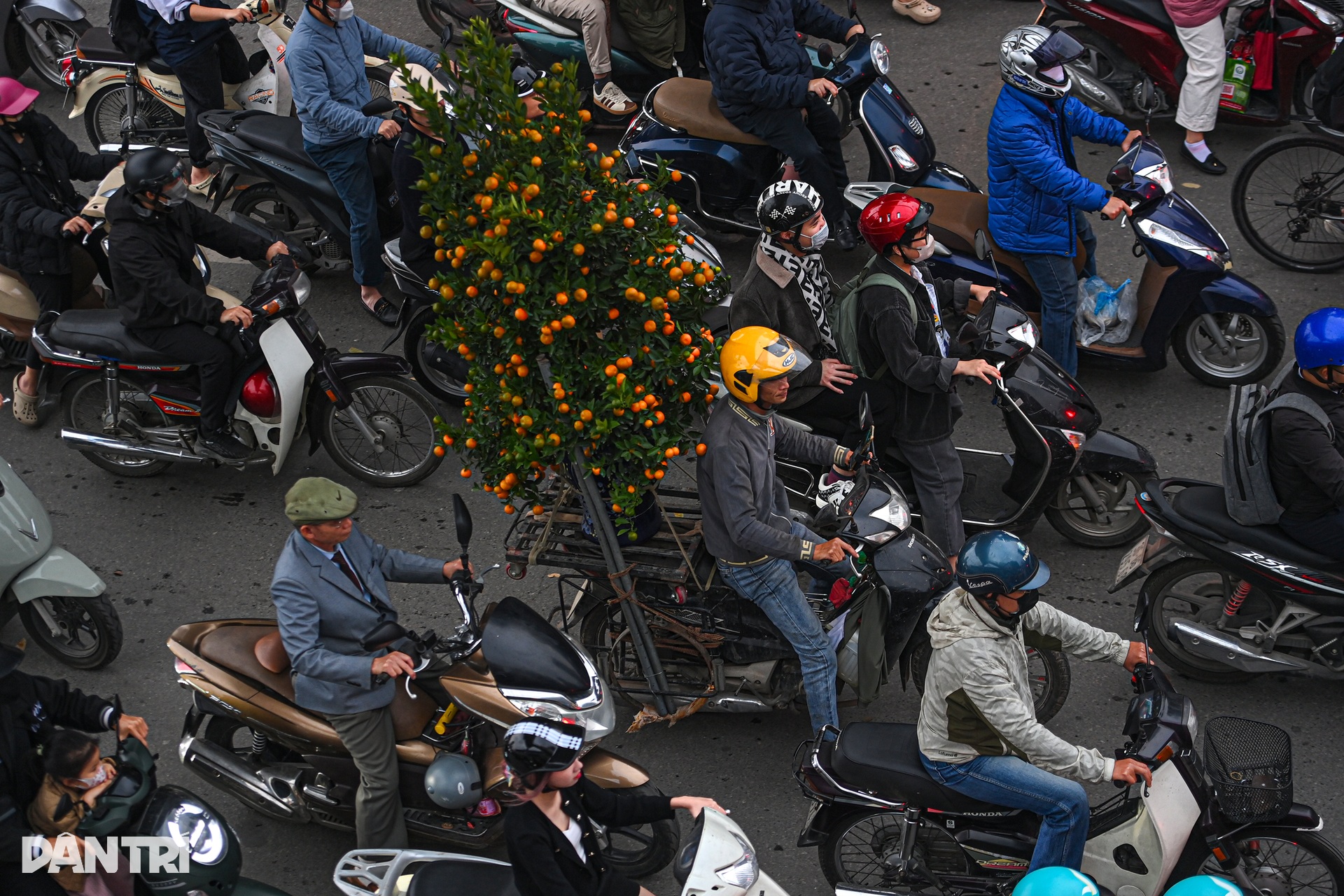 Đào, quất tìm lối thoát trên đường kẹt những ngày cận Tết ở Hà Nội - 7 Đào, quất tìm lối thoát trên đường kẹt những ngày cận Tết ở Hà Nội - 7