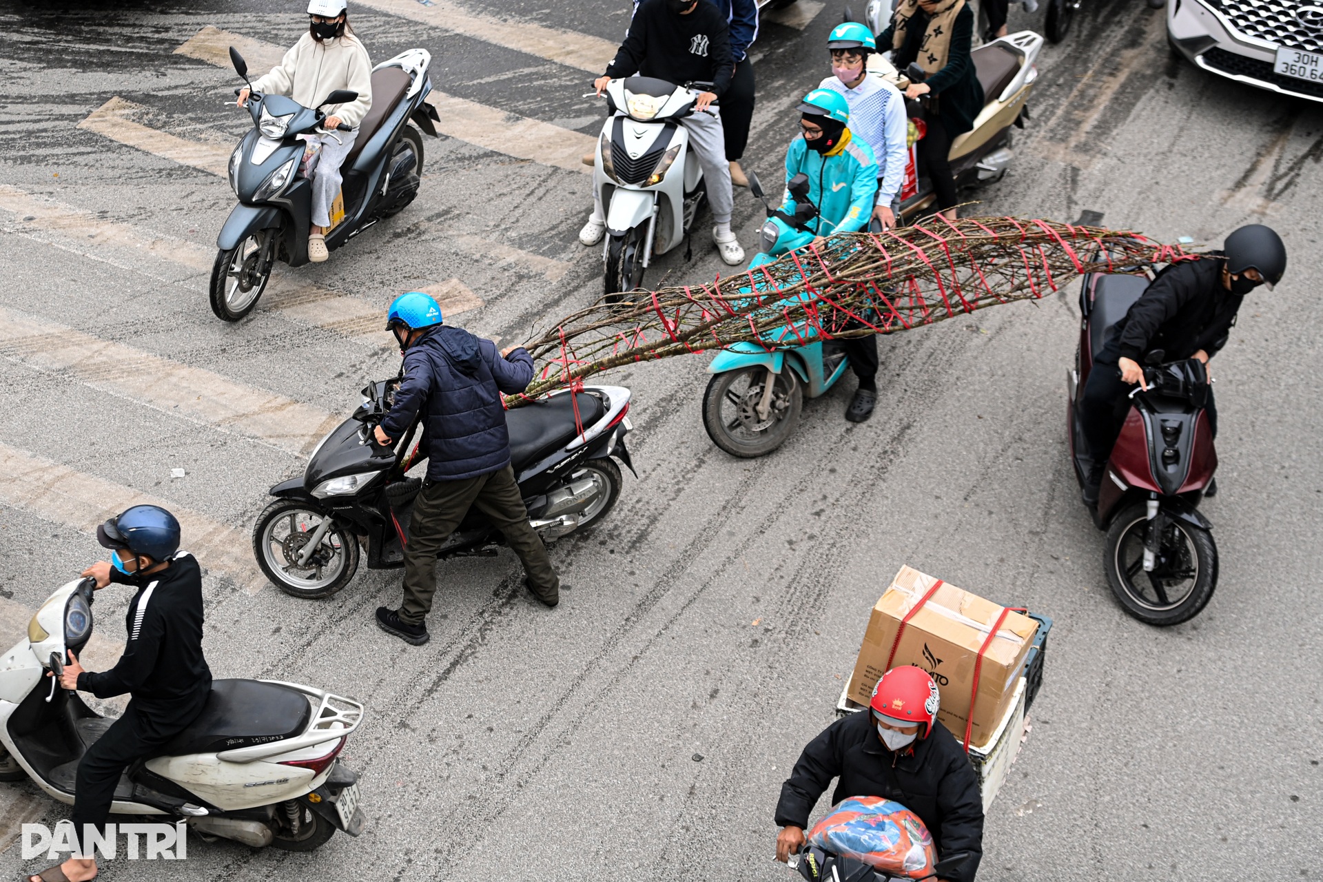 Đào, quất tìm lối thoát trên đường kẹt những ngày cận Tết ở Hà Nội - 8 Đào, quất tìm lối thoát trên đường kẹt những ngày cận Tết ở Hà Nội - 8