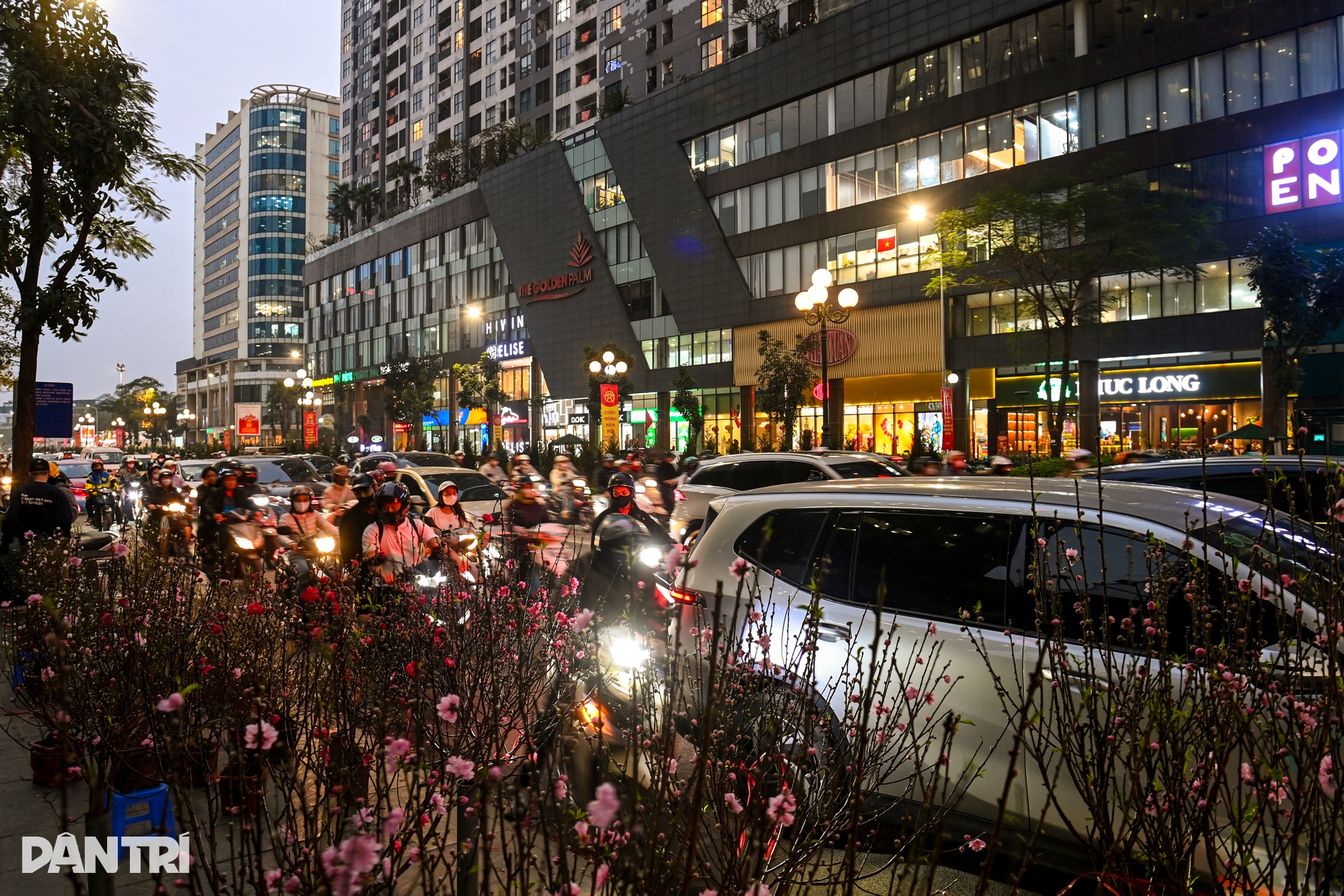 Đào, quất tìm lối thoát trên đường kẹt những ngày cận Tết ở Hà Nội - 13 Đào, quất tìm lối thoát trên đường kẹt những ngày cận Tết ở Hà Nội - 13