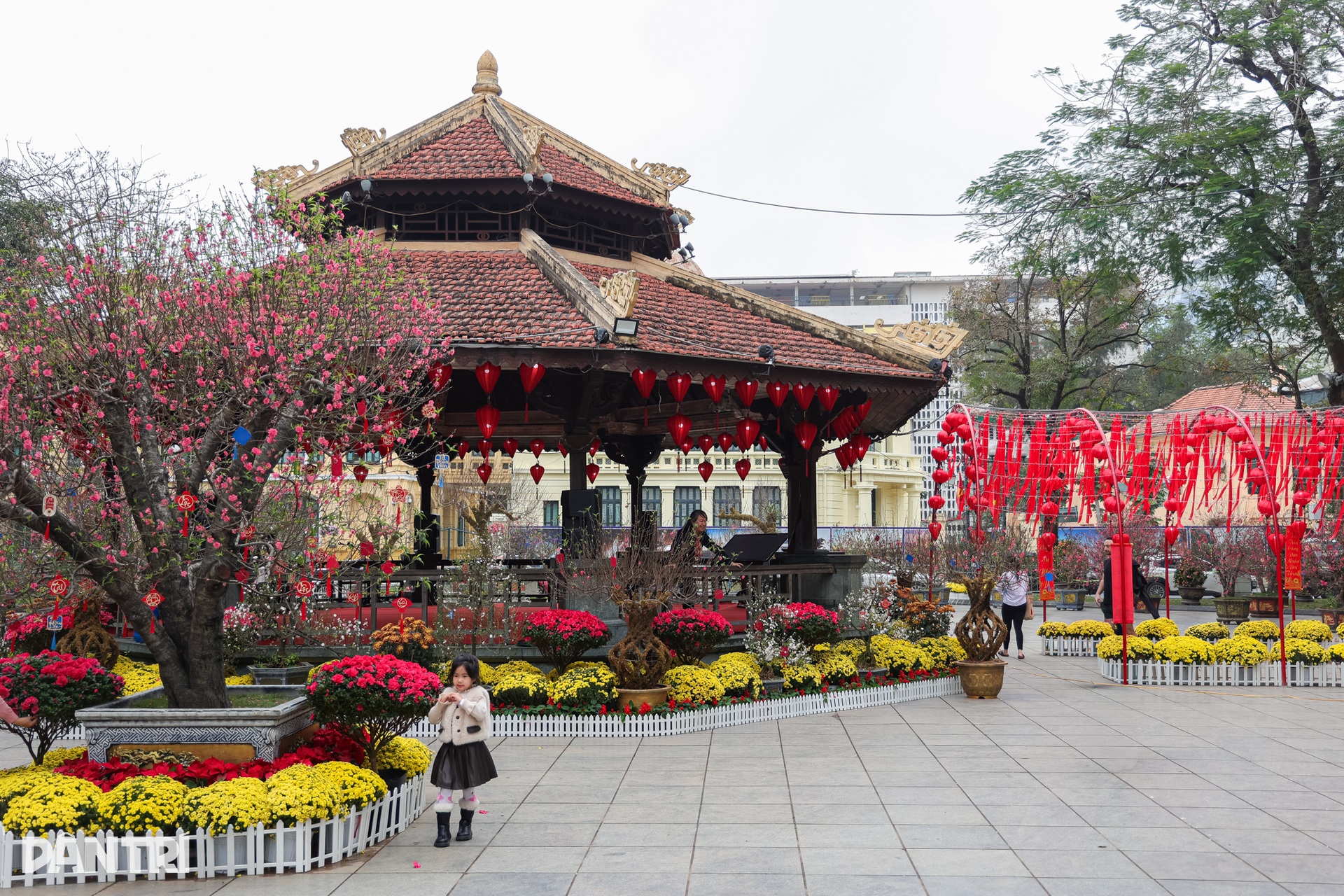 Khách Tây về Việt Nam ăn Tết với vợ, choáng ngợp không gian xuân Hà Nội - 8