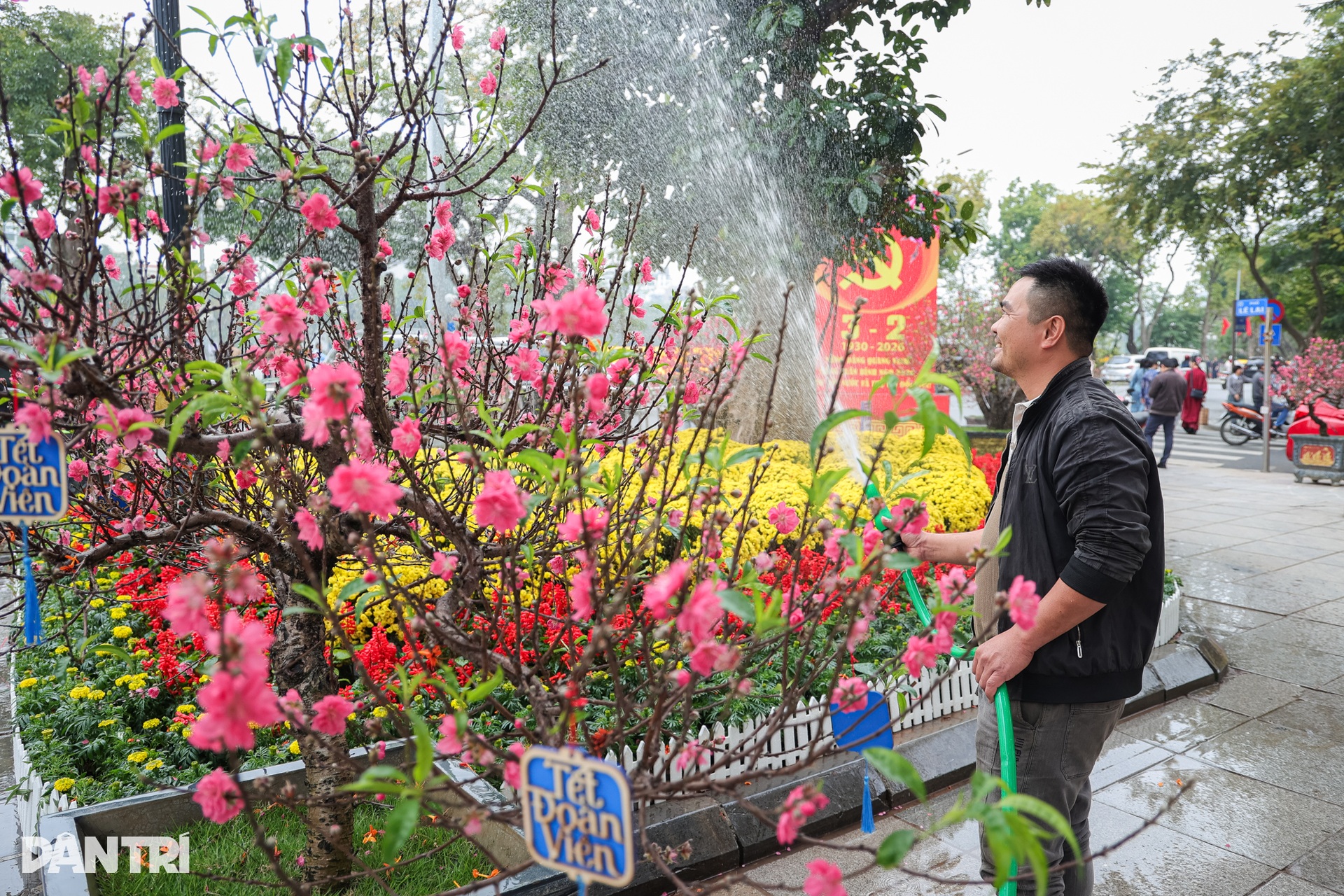 Khách Tây về Việt Nam ăn Tết với vợ, choáng ngợp không gian xuân Hà Nội - 11