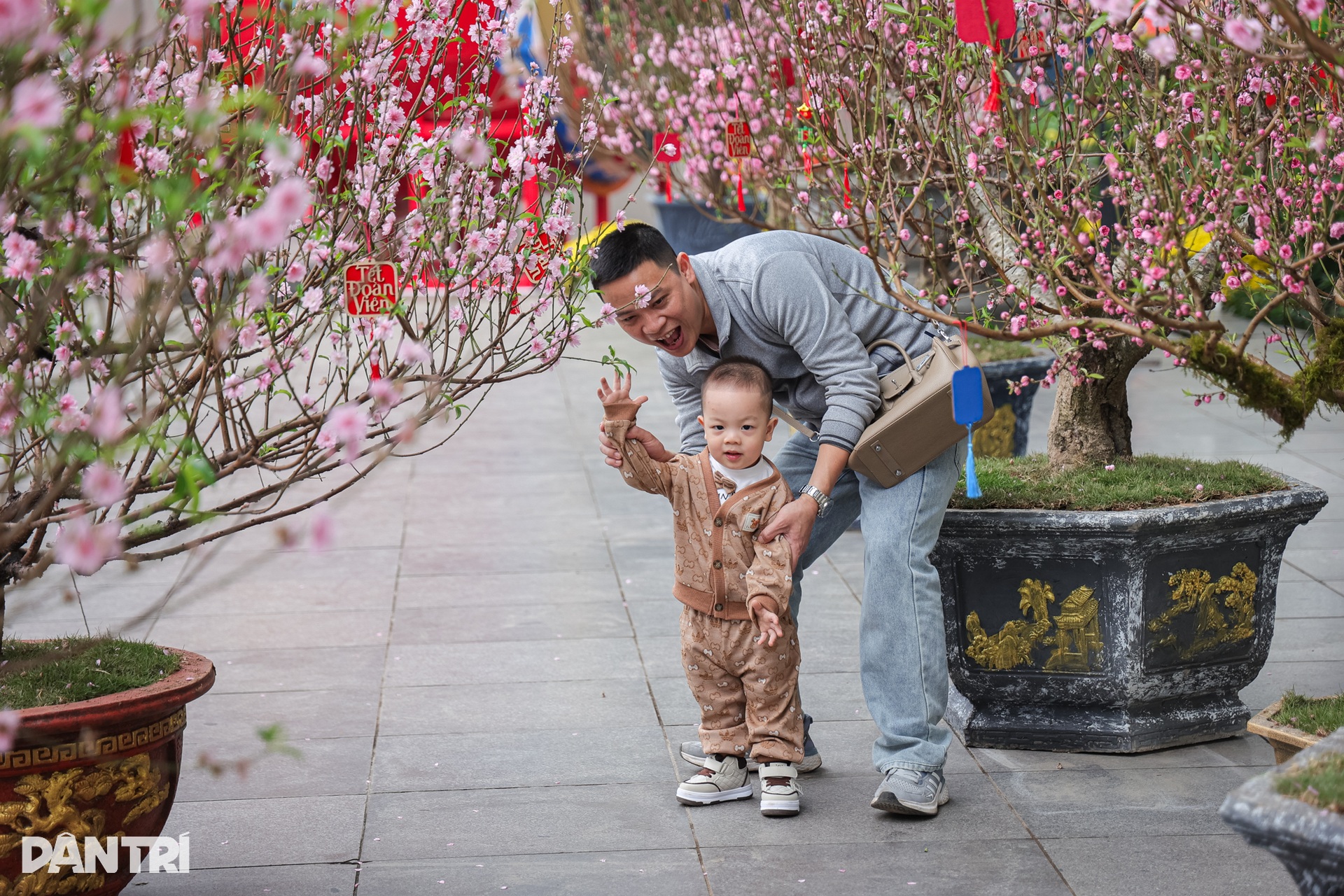 Khách Tây về Việt Nam ăn Tết với vợ, choáng ngợp không gian xuân Hà Nội - 12