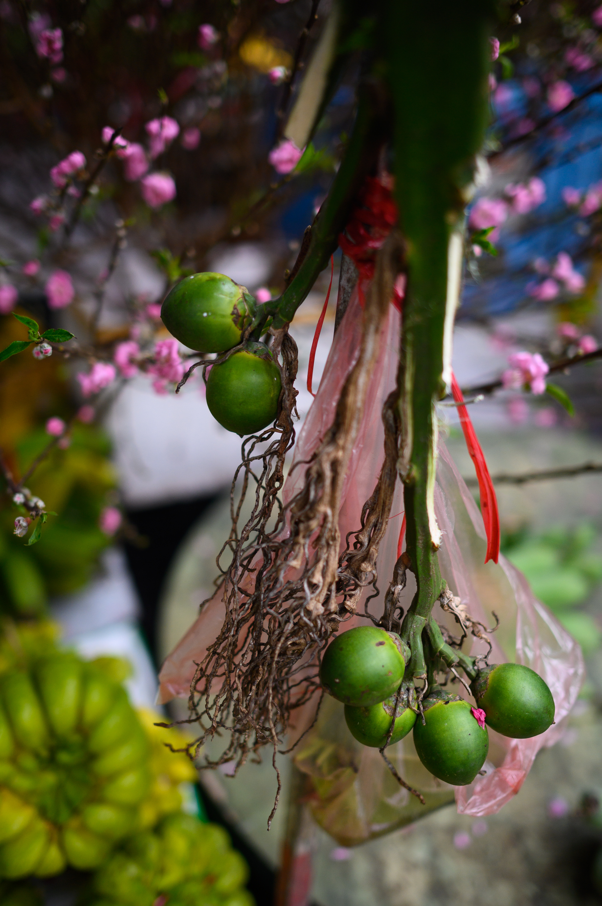 26 Tết rồi, ra mà xem Hà Nội đã cỡ này!- Ảnh 7.