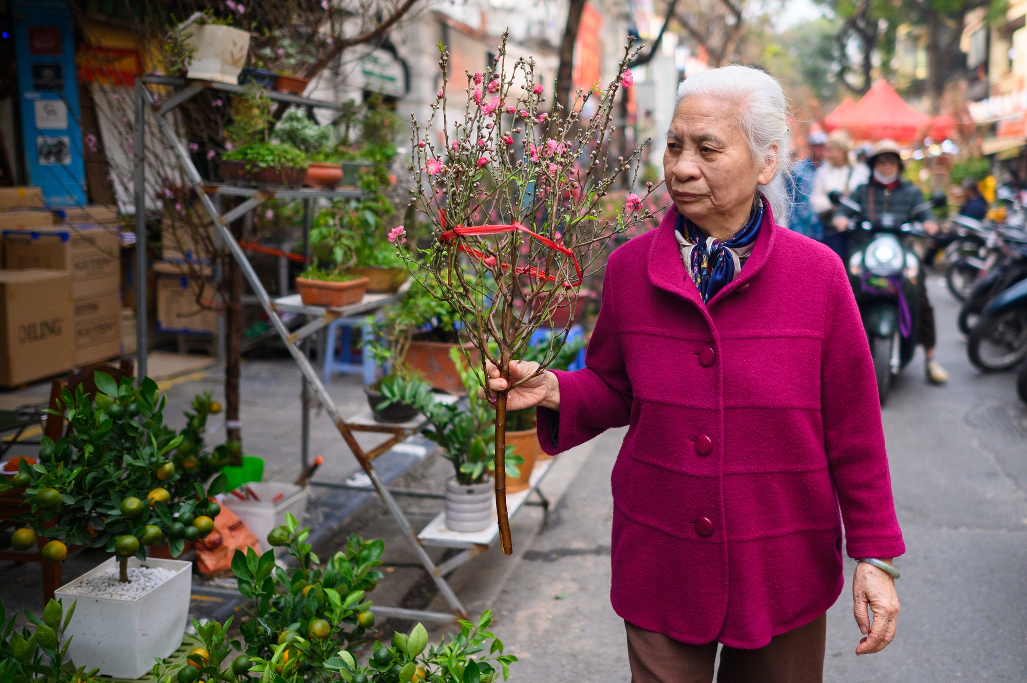 26 Tết rồi, ra mà xem Hà Nội đã cỡ này!- Ảnh 19.