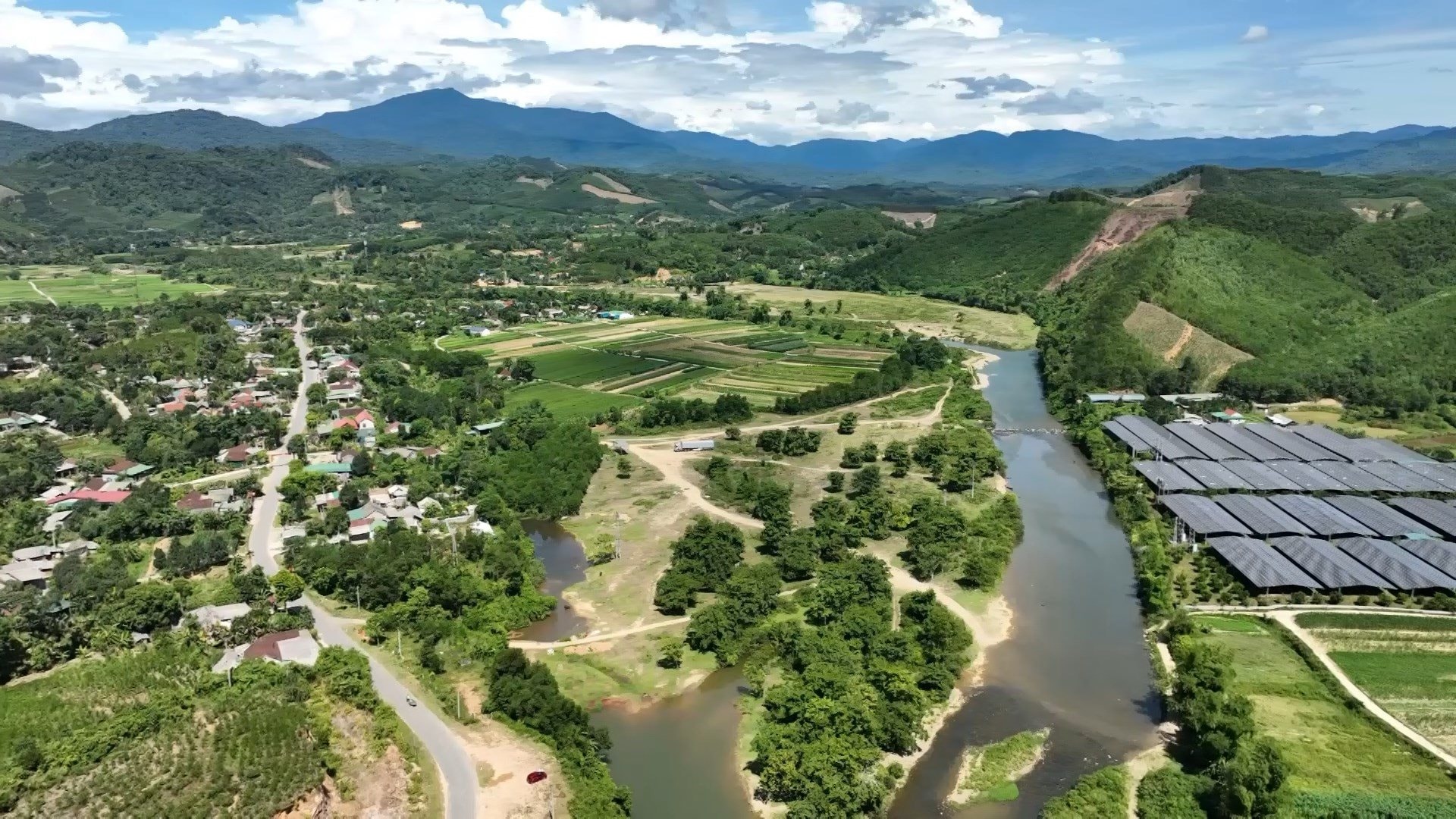 Sau cú trắng tay, chủ trang trại Hà Tĩnh xây 'kho bạc' giữa đồi hoang: Sở hữu 7 vạn gốc 'nhân sâm cho người nghèo' đang chờ bán- Ảnh 2.