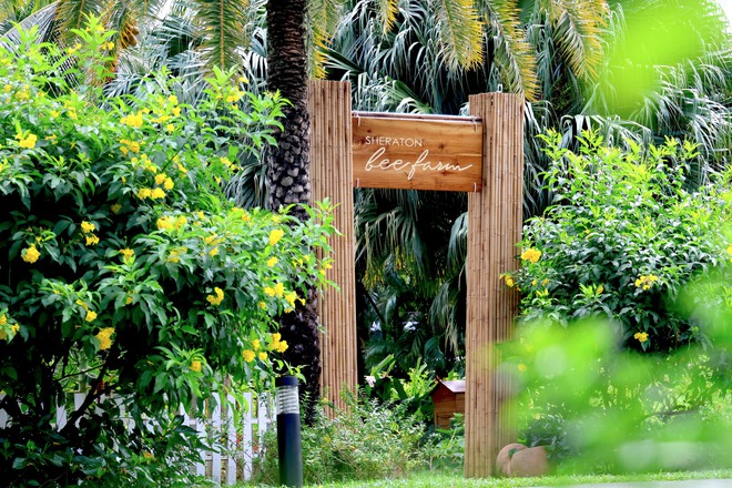 Rời nhà nhưng vẫn trọn vị tết 18 Rời nhà nhưng vẫn trọn vị Tết - Ảnh 18.