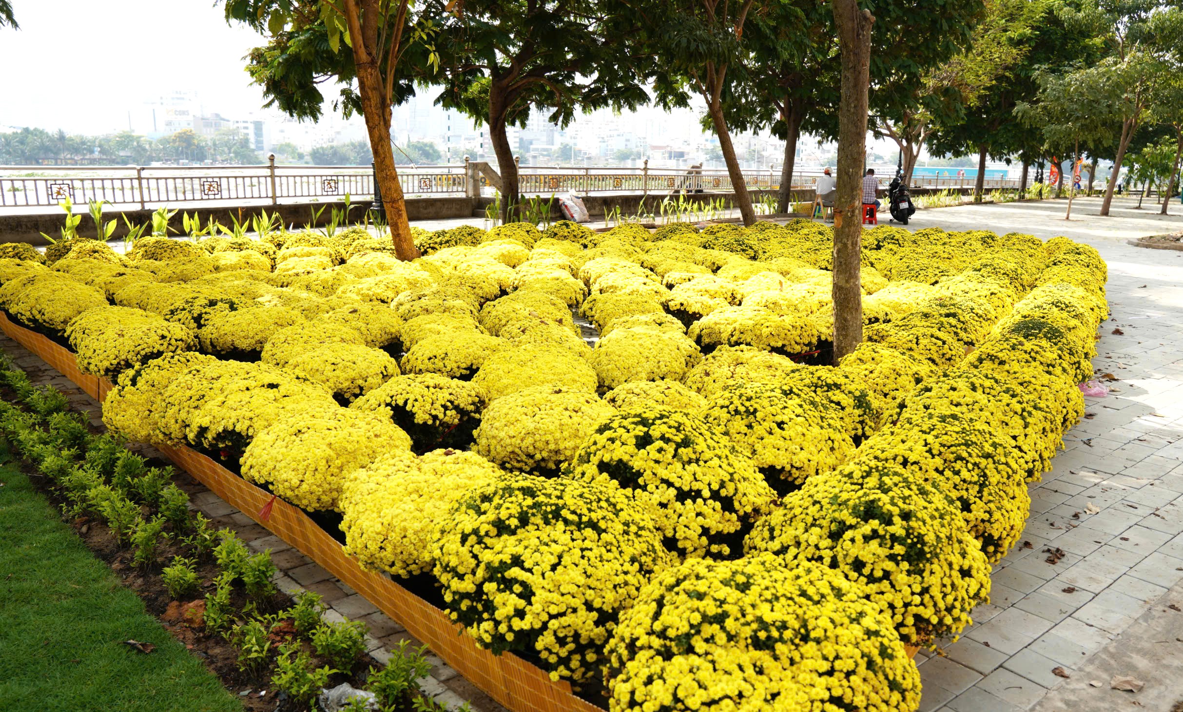 nhà sinh hoạt cộng đồng - Ảnh 3.