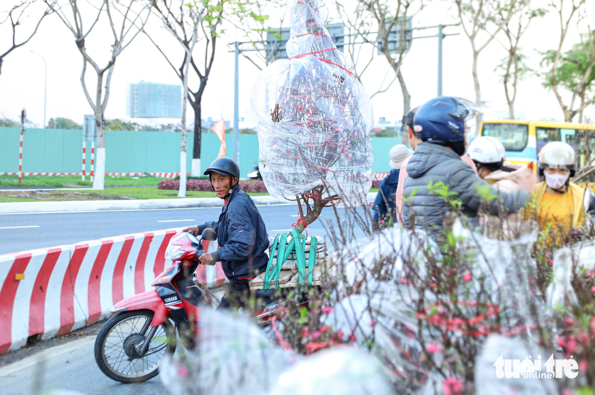 Đà Nẵng - Ảnh 7.