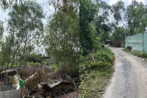 Gay cấn vụ tranh chấp đất kéo dài 13 năm 