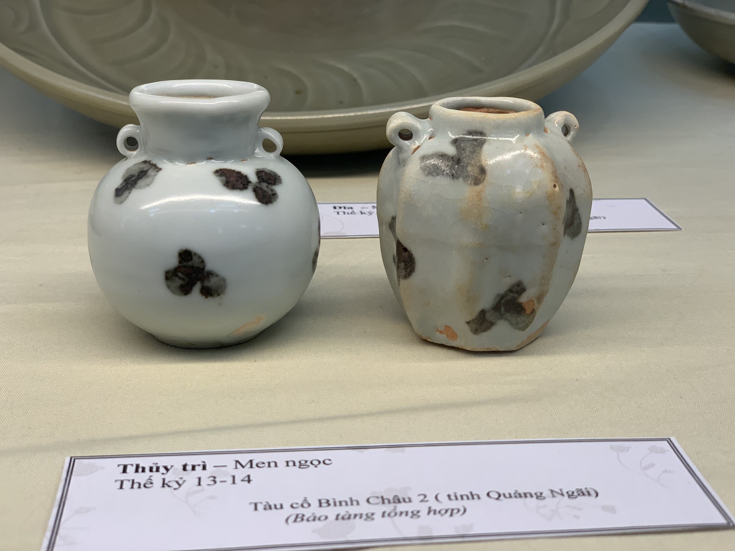 Chiêm ngưỡng hàng trăm cổ vật quý hiếm từ những con tàu cổ Quảng Ngãi - Ảnh 4.