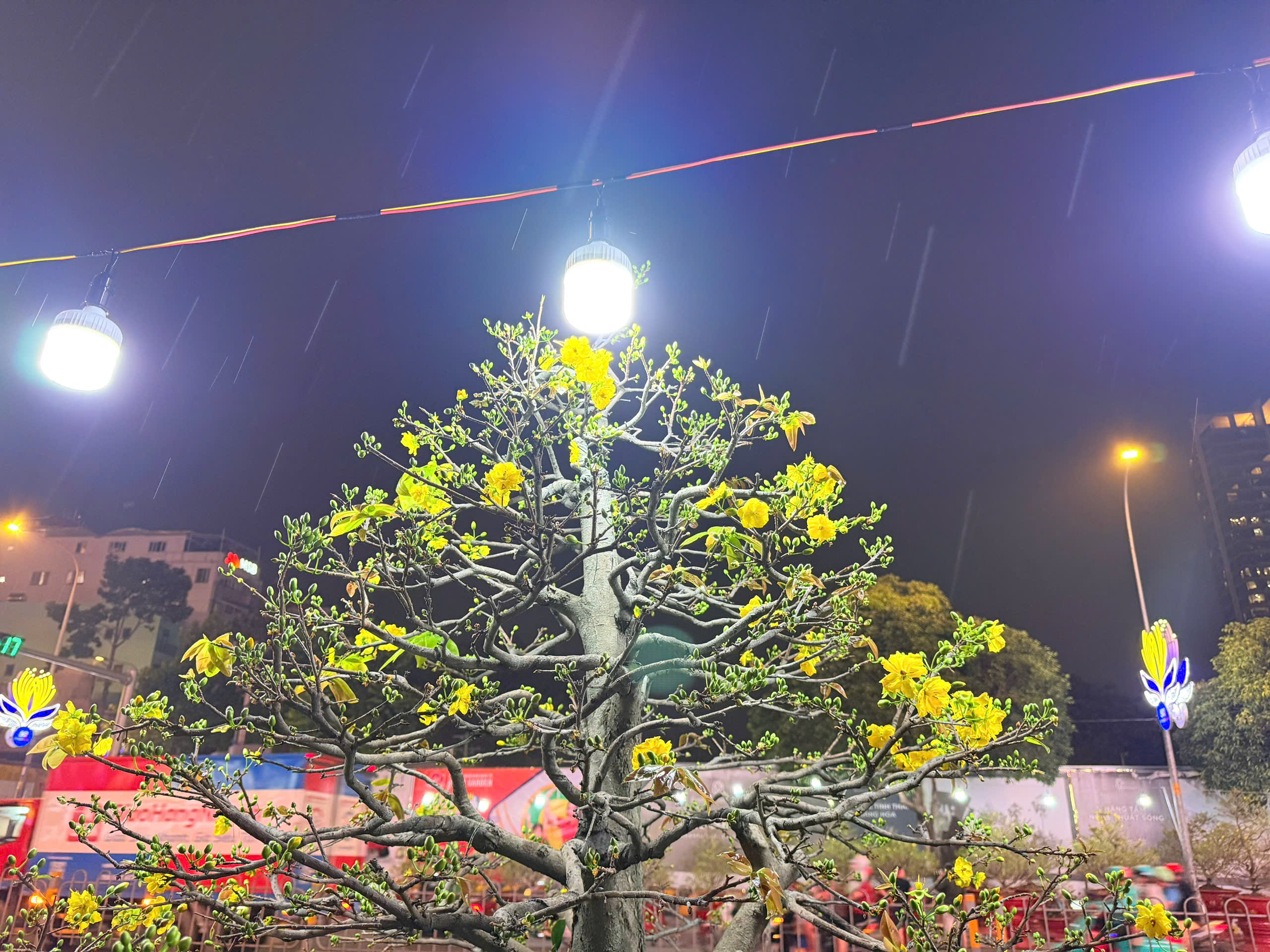 Xuân ONL 27 tháng Chạp_ Chuyện thuê mai ngày Tết và những vui buồn ít ai thấu hiểu 2 Chuyện thuê mai ngày Tết và những vui buồn ít ai thấu hiểu - Ảnh 2.