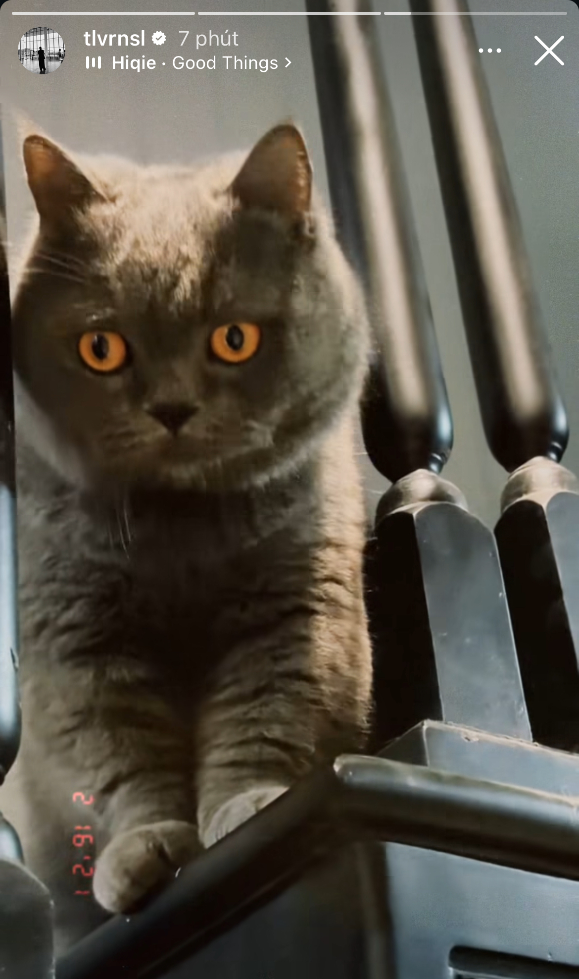 Sao Việt ngày Valentine: Tóc Tiên - Touliver thái độ trái ngược, Sơn Tùng để lộ hint lạ- Ảnh 14.