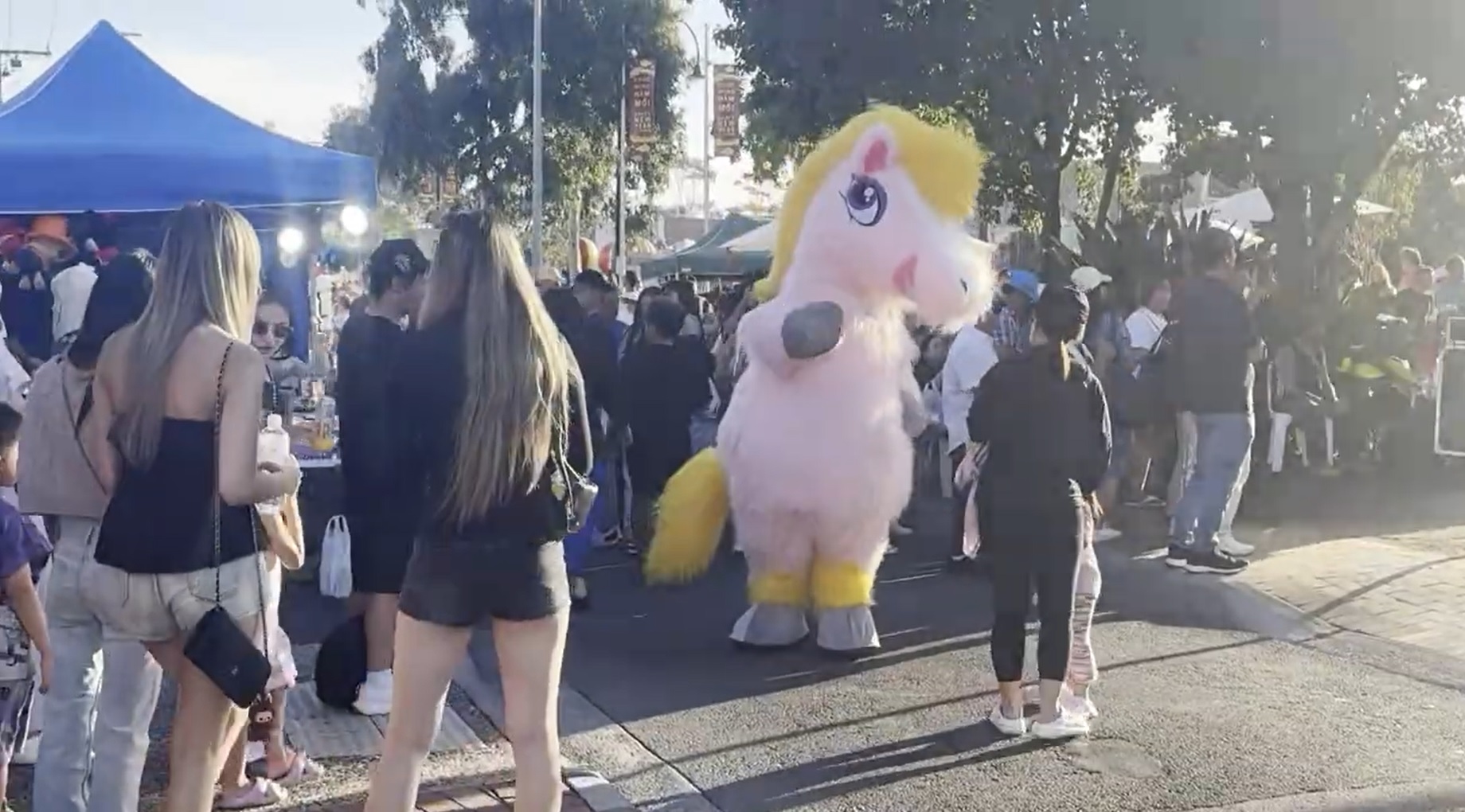 Sắc xuân rạng rỡ trong những hội chợ Tết Việt nơi xứ người- Ảnh 9. Sắc xuân rạng rỡ trong những hội chợ Tết Việt nơi xứ người- Ảnh 9.