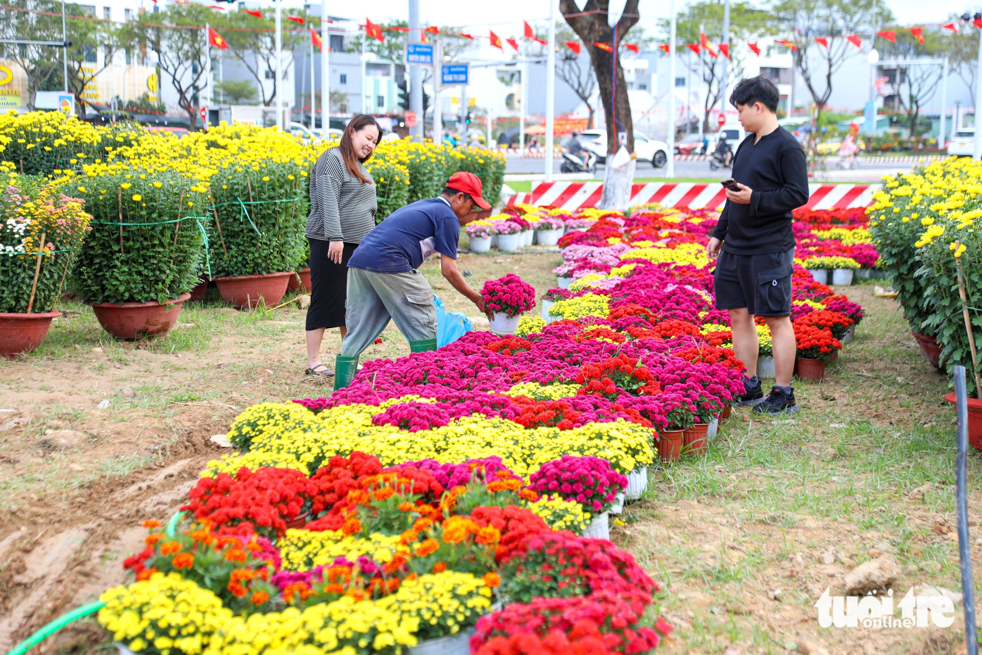 Đà Nẵng - Ảnh 3.