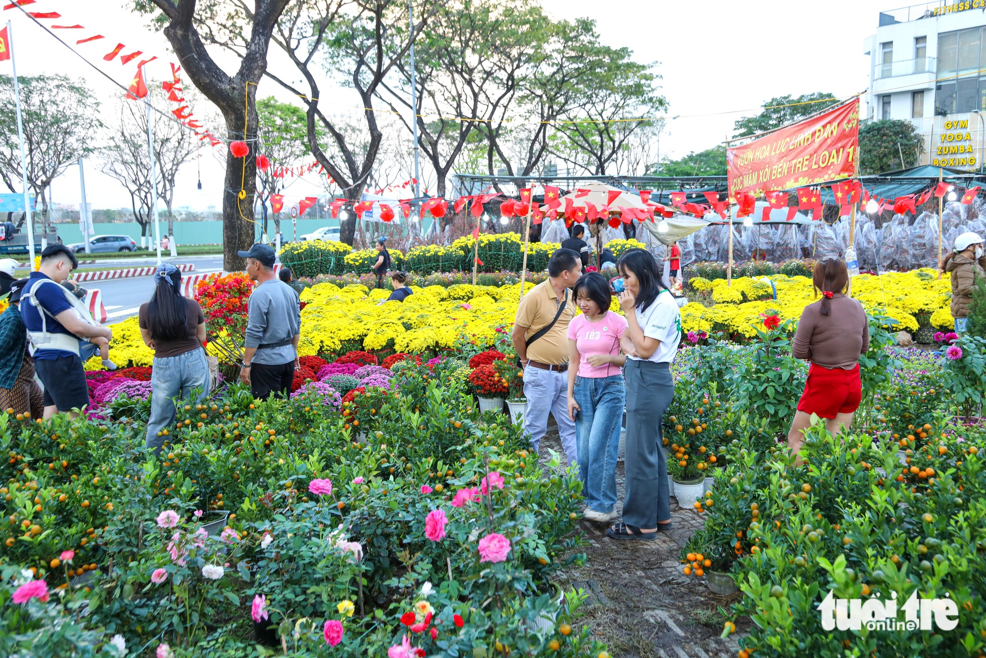 Đà Nẵng - Ảnh 4.