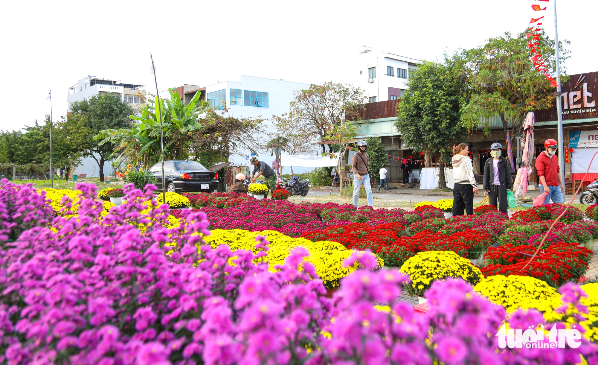 Đà Nẵng - Ảnh 9.