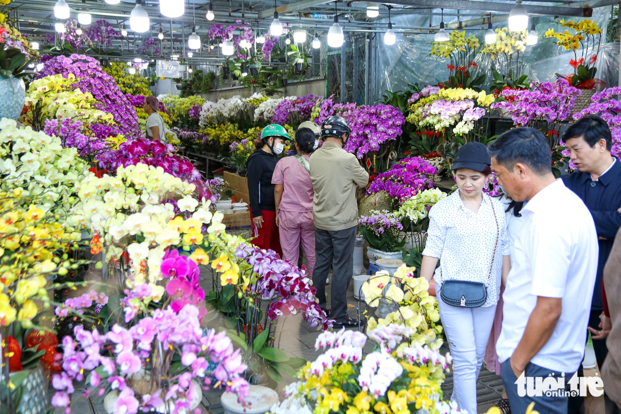 Đà Nẵng - Ảnh 12.