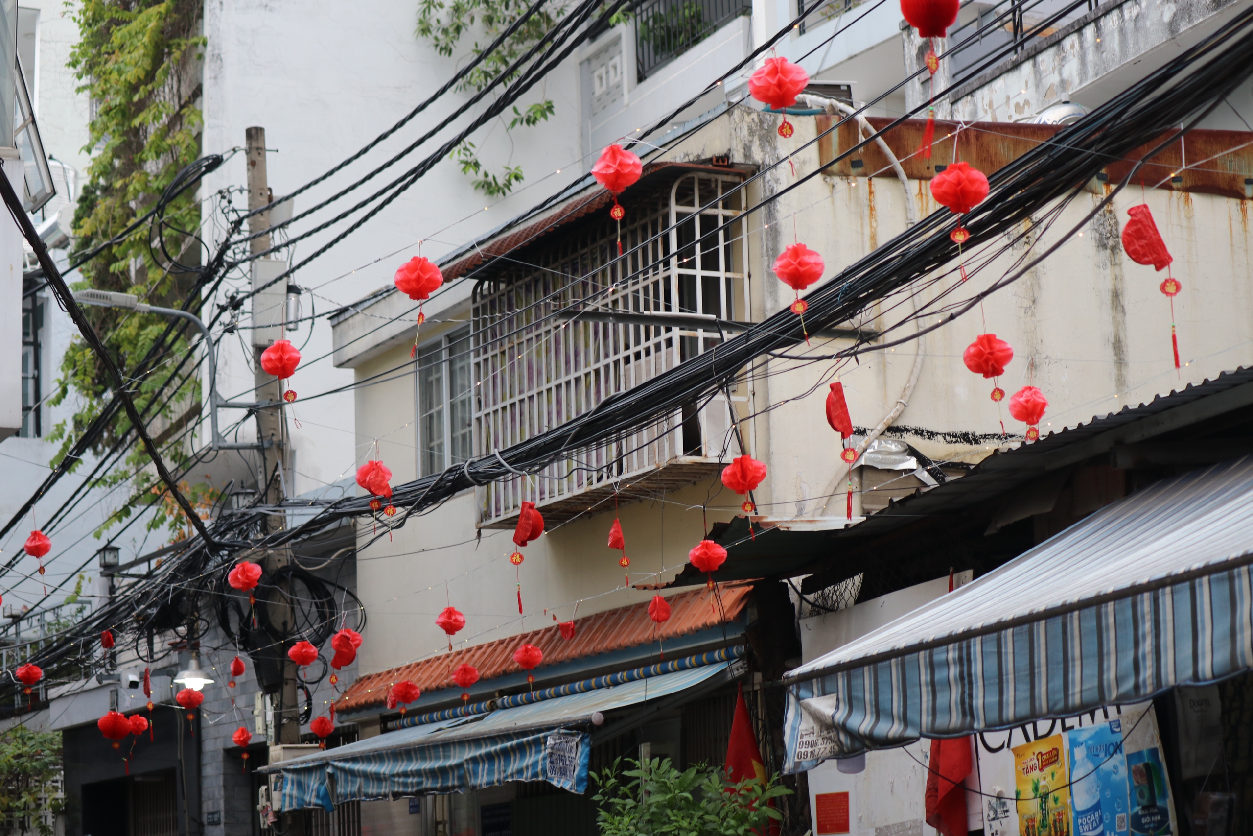 TPHCM rực rỡ sắc màu những ngày Tết đến Xuân về 3 TPHCM rực rỡ sắc màu những ngày Tết đến Xuân về - Ảnh 6.