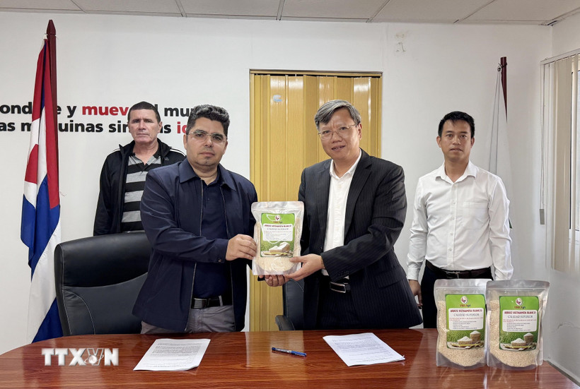Việt Nam chuyển 250 tấn gạo, hỗ trợ Cuba đảm bảo an ninh lương thực - Ảnh 1.