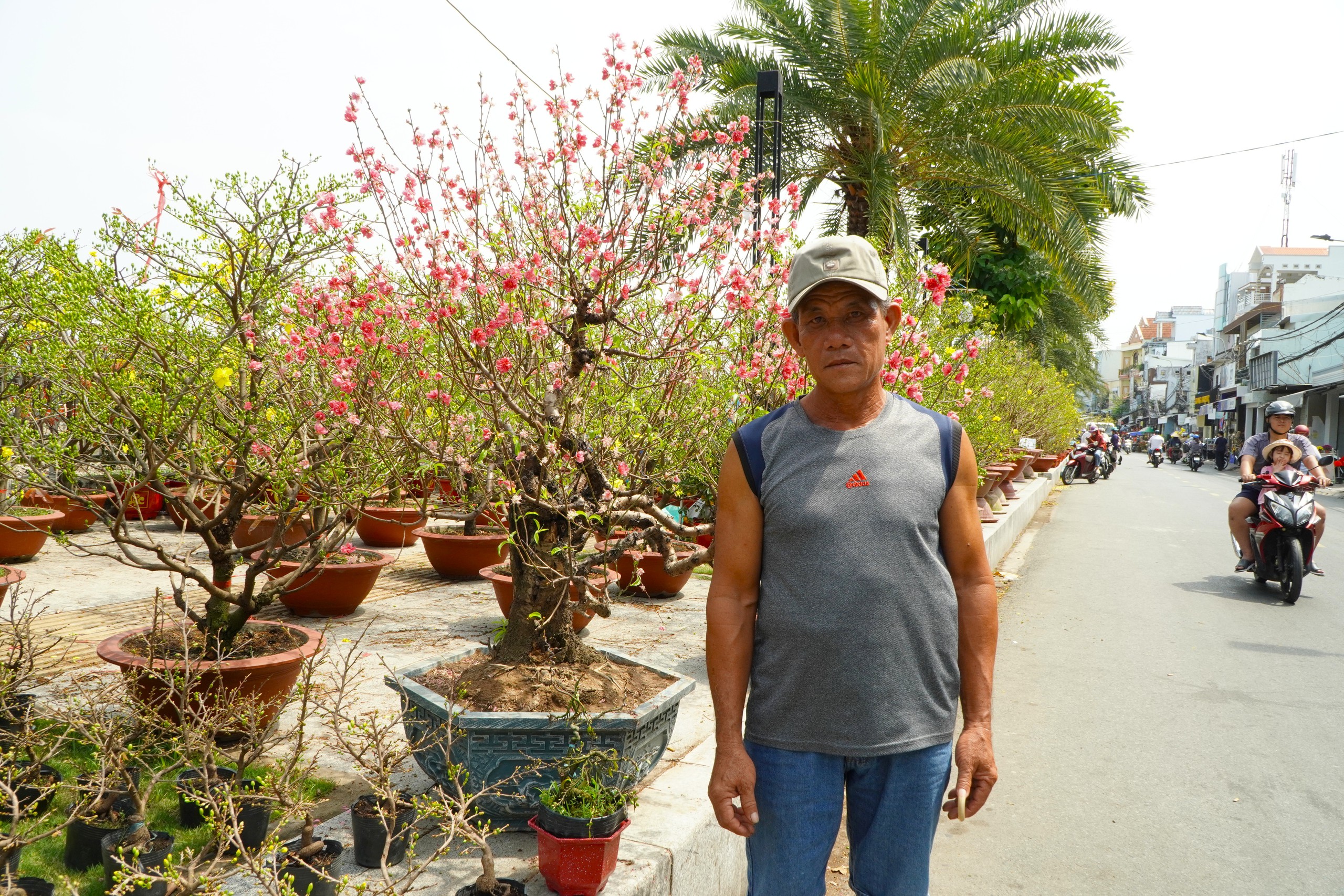 Bất ngờ giá hoa đào ' độc nhất ' ở chợ hoa Cần Thơ Tết Nguyên đán 2026 - Ảnh 2.