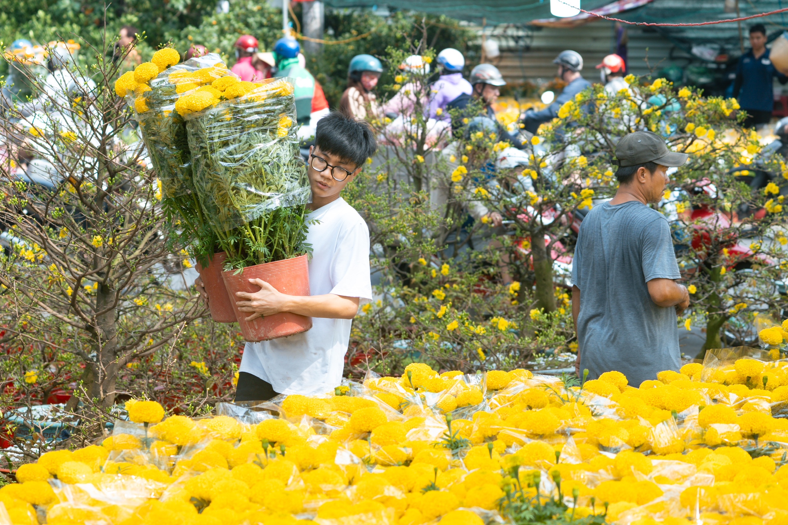 hoa Tết - Ảnh 7.