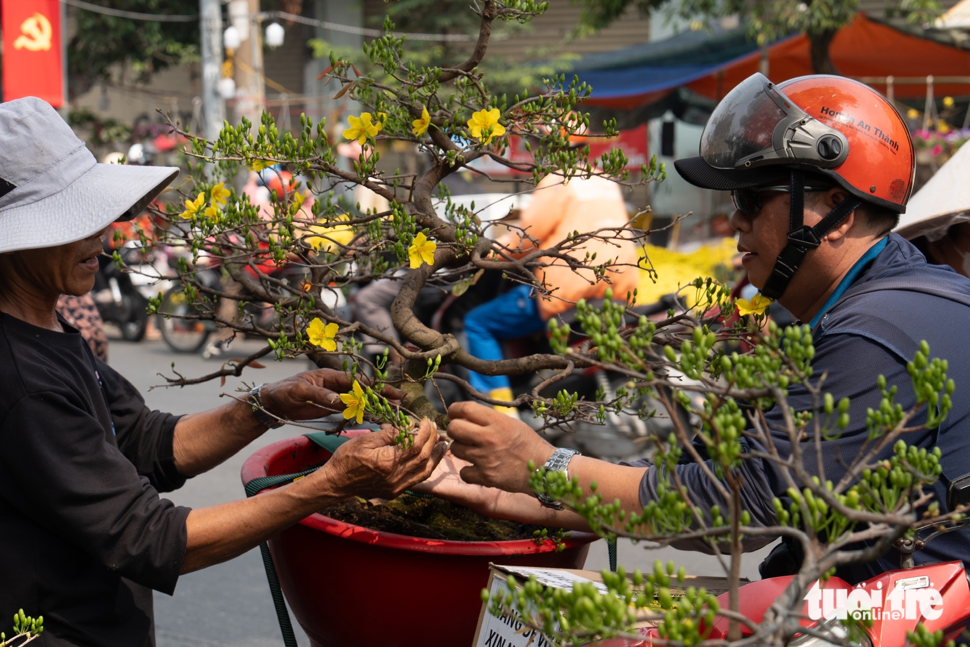 Chợ hoa Tết sôi động ngày 27 tháng Chạp, sức mua khởi sắc - Ảnh 9.