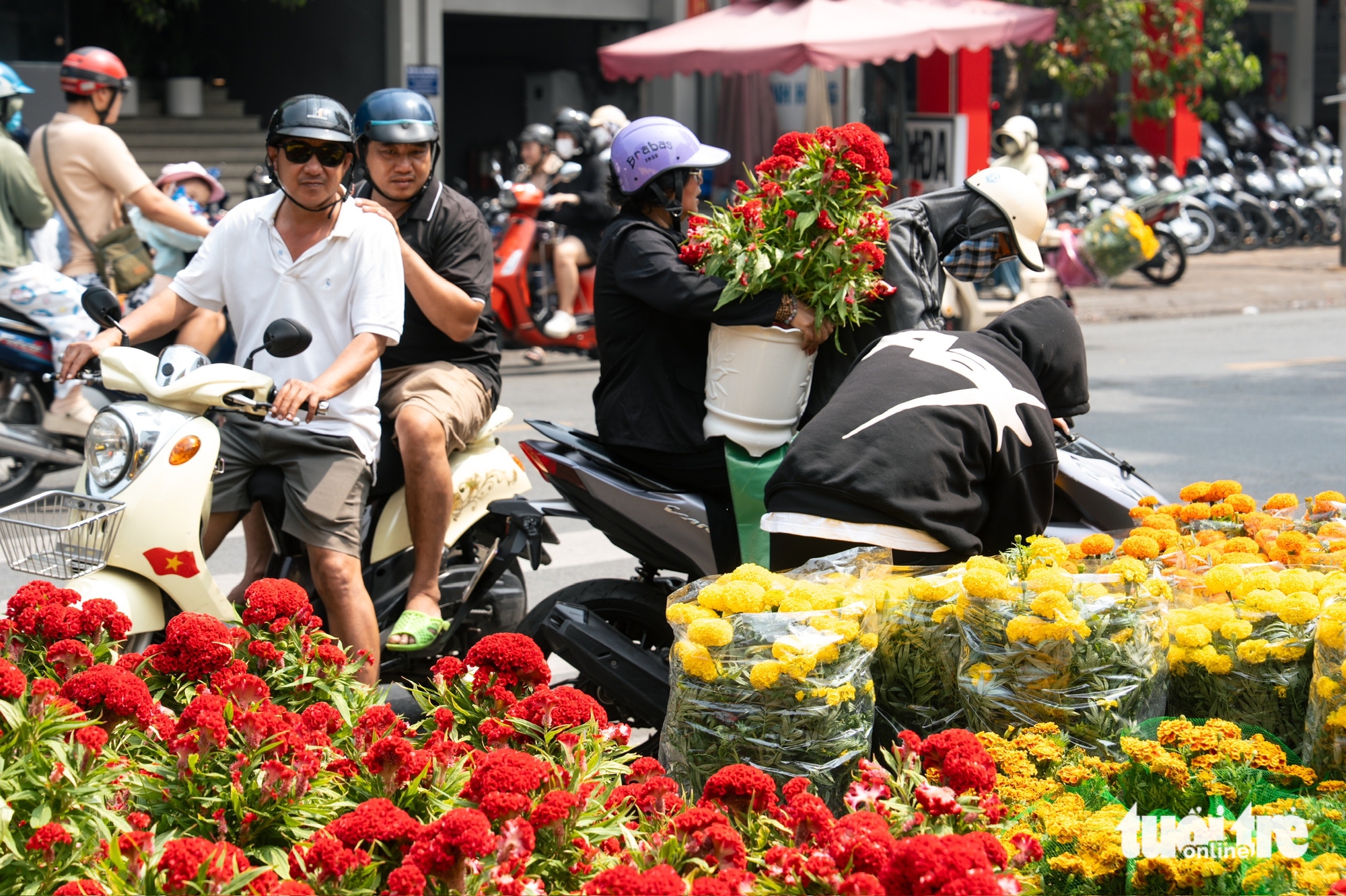 hoa Tết - Ảnh 12.